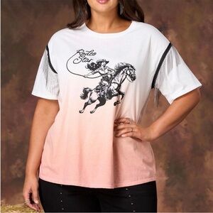 Rodeo Star metal fridge Top